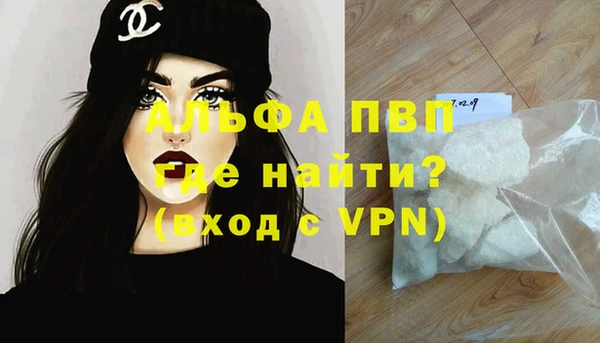 крисы Белокуриха