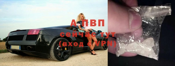 ПСИЛОЦИБИНОВЫЕ ГРИБЫ Белоозёрский