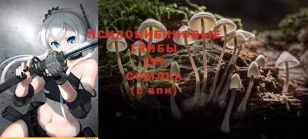 крисы Белокуриха
