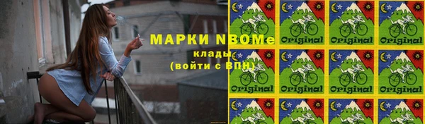 крисы Белокуриха