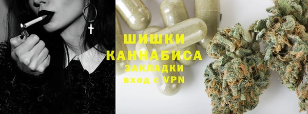 ПСИЛОЦИБИНОВЫЕ ГРИБЫ Белоозёрский