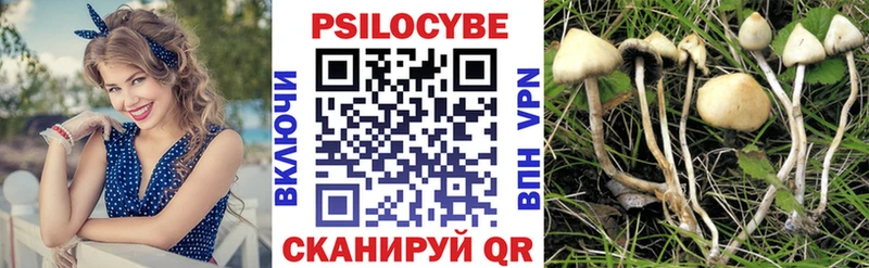 Галлюциногенные грибы Cubensis  Котельники 